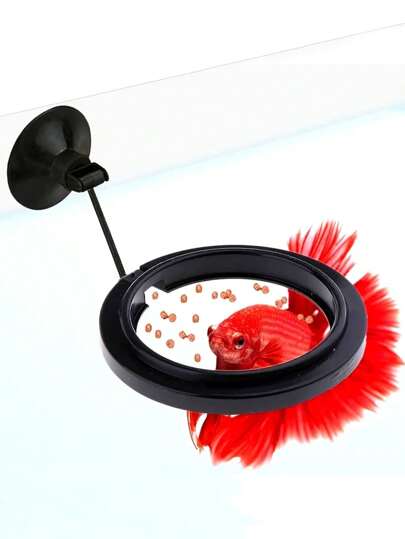 1/2pcs Automatic Fish Feeder Dispenser - No Battery Needed For Betta And Other Fish Aquarium (Random Color Suction Cup)