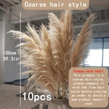 10 pièces/20 pièces Bouquet d'herbe de Pampas, 22 pouces/39,37 pouces - Botte de roseaux de Pampas séchés, convient pour la décoration intérieure du salon, la décoration de bureau de style fermier, la décoration de mariage, le style bohème, le style vintage (marron) Cadeaux Anniversaire Remise des diplômes, Décoration d'automne, Automne, Plantes artificielles