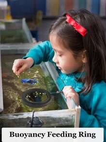 1/2pcs Automatic Fish Feeder Dispenser - No Battery Needed For Betta And Other Fish Aquarium (Random Color Suction Cup) - Multicolor - View 6