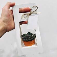 1 pieza Caja de regalo con plantas verdes y flores de color beige, Caja de regalo con planta en maceta blanca, Bolsa plegable de color rosa, Arreglo floral de rosa y clavel como empaque de regalo