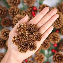 1 pacote (30g) Material de flores secas naturais - botões de rosa espinheiro vermelho, miosótis azul, decoração de flores preservadas para café, restaurante, mesa, sabonete faça você mesmo, vela, artesanato floral