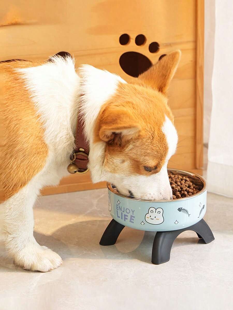 1 件装加高不锈钢猫/狗爱好者礼物和狗/猫妈妈喜爱宠物碗，带可爱图案 - 防滑、防溢设计，适合小型犬爱好者和狗妈妈喜爱 & 猫爱好者和猫妈妈喜爱