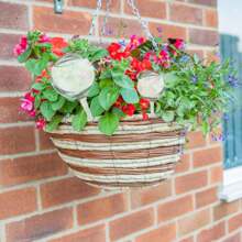 1/5/10Pcs Automatic Plant Water Feeder, Self Watering Plastic Ball, Garden Plant Self-Watering Bulbs, Plastic Plant Automatic Water Devices For Indoor Outdoor Potter Plants, Suitable For Flowers And Vegetables, Flowerpot Drip Irrigation Device