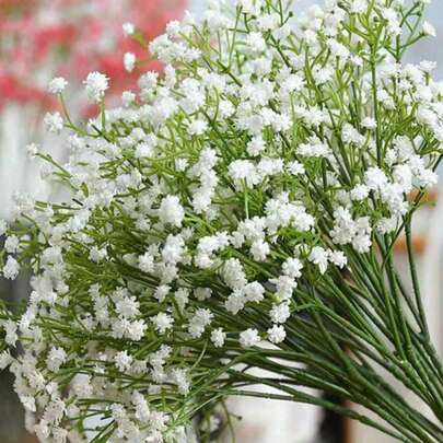 1/20/40/60支装，28厘米/11英寸白色满天星花束。这些仿真花触感逼真，白色仿真花耐紫外线。适用于DIY花环制作、婚礼装饰、家居装饰、插花、房间装饰、花束、新娘捧花、客厅装饰、厨房装饰、桌面装饰、户外装饰、花园装饰、毕业装饰、派对装饰、礼品等。仿真花