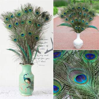 20/10/5/1pc 27.6in-31.5in Natural Peacock Feather Loose Set Peacock Feather Crafts