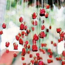 1 套婚礼装饰悬挂红玫瑰装饰 10 朵红玫瑰 1 卷 300 厘米透明丝线 - 人造丝花 - 适用于婚礼拱门、新娘送礼会、花束、派对中心装饰和天花板装饰 送给婚礼策划师和 DIY 爱好者的完美礼物 - 彩色 - 查看 6