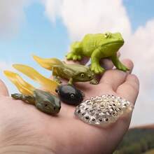 5件仿真迷你动物模型迷你动物青蛙生长周期套装教学图片识别玩具摆件礼物 - 彩色 - 查看 2