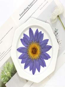 1 pieza Decoración de flor de loto seca y prensada hecha a mano para decorar en resina, perfecto para marcos de fotos, marcapáginas, velas de aromaterapia, manualidades creativas y decoración del hogar, ideal como regalo del Día de Acción de Gracias