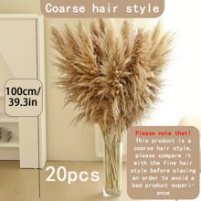 10 pièces/20 pièces Bouquet d'herbe de Pampas, 22 pouces/39,37 pouces - Botte de roseaux de Pampas séchés, convient pour la décoration intérieure du salon, la décoration de bureau de style fermier, la décoration de mariage, le style bohème, le style vintage (marron) Cadeaux Anniversaire Remise des diplômes, Décoration d'automne, Automne, Plantes artificielles