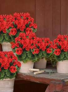 1/4 件人造天竺葵户外丝绸花人造天竺葵灌木仿真花天竺葵花卉家居装饰室内花园露台墓地墓园花瓶桌面摆件 - 紅色 - 查看 4