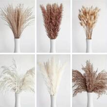 38/65/110 Pcs Luxury Artificial Pampas Grass Bouquet – Boho Chic Dried Flowers For Home Decor, Weddings, Rustic Parties & Shower Decorations | Long-Lasting, Low-Maintenance, Versatile Centerpiece In White, Beige & Brown Tones | Minimalist Vase Display | Aesthetic Table Decor,Fall Decor,Autumn Back To School Room Decor School Supplies