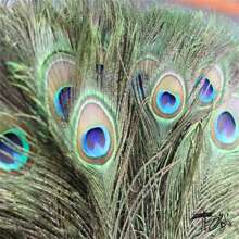 20/10/5/1 pieza Juego de plumas de pavo real sueltas de 27,6 a 31,5 pulgadas de largo, artesanía con plumas de pavo real - Multicolor - Ver 6