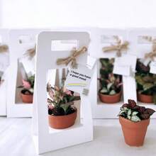 1 pieza Caja de regalo con plantas verdes y flores de color beige, Caja de regalo con planta en maceta blanca, Bolsa plegable de color rosa, Arreglo floral de rosa y clavel como empaque de regalo