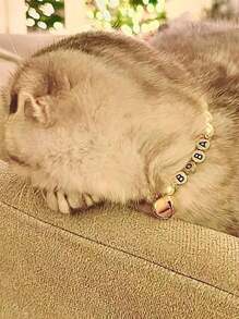 个性化珍珠宠物项圈项链优雅宠物珠宝精美珍珠狗项圈带名字串珠猫项圈铃铛闪亮宠物配饰