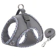 Harnais pour chien de promenade et ensemble de laisse pour chiens de petite et moyenne taille, Chihuahua, Pomeranian, accessoires de harnais pour chiens