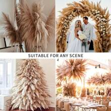 10 pièces/20 pièces Bouquet d'herbe de Pampas, 22 pouces/39,37 pouces - Botte de roseaux de Pampas séchés, convient pour la décoration intérieure du salon, la décoration de bureau de style fermier, la décoration de mariage, le style bohème, le style vintage (marron) Cadeaux Anniversaire Remise des diplômes, Décoration d'automne, Automne, Plantes artificielles