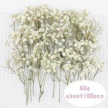 1 boîte de fleurs séchées naturelles, fleurs séchées conservées d'hortensia, paquet de matériel de DIY de fleurs éternelles, paquet de matériel de fleurs séchées par haleine de bébé, matériel végétal de haute qualité pour l'artisanat de DIY, décoration, non électrique, sans plumes