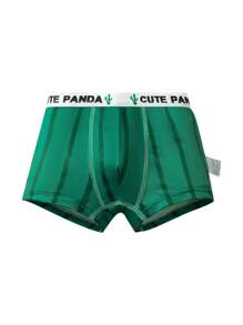 4pcs/Pack Boys' Comfortable Breathable Cartoon Panda Print Briefs, Gift For Boys - Green - View 3