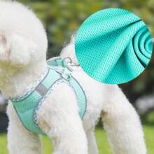 Harnais pour chien de promenade et ensemble de laisse pour chiens de petite et moyenne taille, Chihuahua, Pomeranian, accessoires de harnais pour chiens