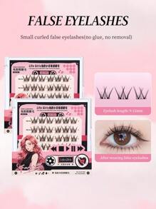 36pcs Single-Cluster Segmented C-Curled Glue-Free Reusable False Eyelashes, Natural Curl & Soft Tones, Magnify Eyes, Slouchy Starter Pack, Convenient For Daily Commute