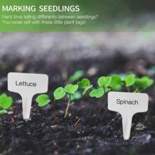 100pcs Garden Plant Labels Markers, Stake In Ground Plant Tags, 3D Labels, Flower Tags - White - View 3