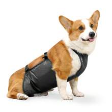 Waterproof Pet Clothes Dog Rain Jacket Belly Cover Corgi Raincoat Dog Bellyband Breathable Anti-Dirty Puppy Outfits Doggy Raincoat Dog Belly Protector