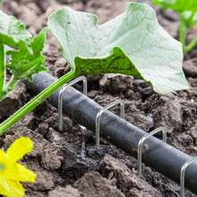 50 de bucăți cuie de fier în formă de U, cuie pentru gazon, cuie de fixare pentru iarba de gazon, știfturi în formă de U de fixare a barierei