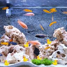 10/30 sztuk Mini Cute Żywica Żółta Kaczka Dekoracja Ozdoba, Mikro Krajobraz