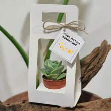 1 pieza Caja de regalo con plantas verdes y flores de color beige, Caja de regalo con planta en maceta blanca, Bolsa plegable de color rosa, Arreglo floral de rosa y clavel como empaque de regalo