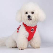 Set ajustable de arnés y correa para perros pequeños tipo oso de peluche, arnés de pecho transpirable para mascotas, correa linda y sin tirones para perro, cuerda antideslizante para pasear a la mascota al aire libre, camping