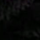 Multicolor