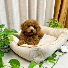AKAPET Vier seizoenen universeel huisdierbedhuis, randdecoratie - antislipbodem, geschikt voor het houden van puppy's, kleine honden, middelgrote honden en grote honden, vierkant hondenbed en kattenhuis slaapbankmat, de ideale spullen accessoires voor huisdiereigenaren