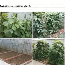 Multifunctionele plantensteunpalen, trellis voor tomaten, komkommers, druivenranken, groenten en bloeiende planten, geschikt voor tuin en erf