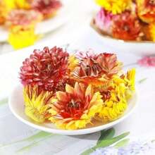 1pc 30g/90g/150g/300g, 5pcs/15pcs/25pcs Dried Plant Decor, Fragrance Cinnamon Sticks, Jasmine, Pingyin Rose, Marigold, Orange Slices, Lavender, Star Anise, Strawflower, Rosemary, Lemon Slices, Hawthorn, Golden Rose, Mimosa, Dandelion, Chrysanthemum, Longan, Red Plum, Carnation, Rose Petals DIY