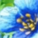 藍色