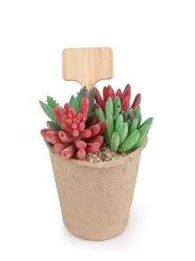 10/20/50 Piezas Etiquetas de jardín de bambú resistentes al agua, marcadores de plantas - Etiquetas con forma de T, adecuadas para plantas de exterior e interior, semilleros, verduras, viveros, granja. Fáciles de escribir, etiquetas de jardín resistentes a la intemperie