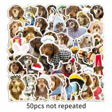 50 stuks Teckel Oranje Kat Knutselbenodigdheden & Stickers, Pet Friend Graffiti Stickers, Katten Hondenhok Decors, Scrapbook Stempels/Stickers, Anime Posters Vakantie Decors, Mode Liefde Voor Cadeaus Telefoons Laptops Notebooks, Lente, Buiten