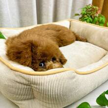AKAPET Vier seizoenen universeel huisdierbedhuis, randdecoratie - antislipbodem, geschikt voor het houden van puppy's, kleine honden, middelgrote honden en grote honden, vierkant hondenbed en kattenhuis slaapbankmat, de ideale spullen accessoires voor huisdiereigenaren