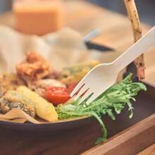 10pcs/50pcs/100pcs, Disposable Fork, Outdoor Disposable Tableware, Suitable For Wedding Party, Festival, Outdoor Camping Activities, Catering Service Tableware - Multicolor - View 4