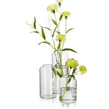FIRE KIRIN FIRE KIRIN Clear Small Flower Vases, Handmade Modern Decorative Bud Vases For Flowers, Wedding Centerpiece, Dining Table Decoration Gifts Birthday Graduation