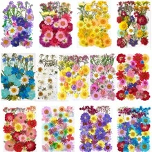 30/40Pcs 1 Set Dried Pressed Leaves Dried Flowers For Resin Real Assorted Dried Greenery For Pressed Leaf Art Craft DIY Handmade Bookmarks Embellishment Decorations