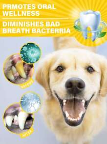 PetSmile 宠物牙齿护理套装 2 件套，含 1 支生物牙膏和 1 支硅胶指套牙刷，有效对抗牙垢，美味牛肉味，保持口气清新，去除牙垢，硅胶指套按摩牙刷，猫狗口腔清洁神器，宠物清洁用品 - 彩色 - 查看 9