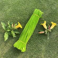 151Pcs St. Patrick's Day Macaron Green Pipe Cleaner Kit For Botanical Crafts & Shamrock Decor – St. Patrick's Day DIY Supplies With Flexible Chenille Stems, Sparkly Metallic Pipe Cleaners Bulk For St. Patricks Valentine's Handmade Christmas DIY Crafts