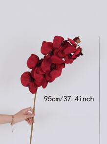 1/2/4/6支装仿真深红色蝴蝶兰，适用于客厅餐桌装饰、婚礼订婚装饰、秋季仿真花、万圣节圣诞节花卉装饰、家居装饰、返校季房间装饰、学习用品、万圣节装饰 - 紅色 - 查看 9