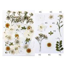 30/40Pcs 1 Set Dried Pressed Leaves Dried Flowers For Resin Real Assorted Dried Greenery For Pressed Leaf Art Craft DIY Handmade Bookmarks Embellishment Decorations