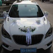 9 pièces DIY Décoration de la Saint-Valentin Décoration de mariage en tissu Décoration de voiture de mariage Fleurs roses simulées, Décoration de maison Fleurs artificielles en soie rose, Convient pour diverses décorations de voiture, Diverses décorations de voiture de mariage