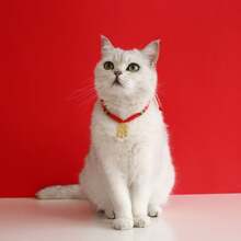 1 pièce Collier en corde rouge pour animaux de compagnie avec un cadenas de sécurité et un pendentif porte-bonheur pour la fortune et la richesse. Collier réglable pour chats et petits chiens convenant aux animaux pesant 2-8kg