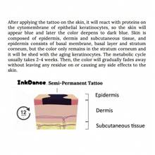 1 Kit "Cherries" Revolutionary Technology Tattoos, Cherry, Semi-Permanent Tattoos, Temporary Tattoos, Long Lasting, Fake Tattoos, Water-Resistant, Authentic Tattoo Look, Plant-Based, Present, Girl Stuff X121