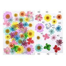 30/40Pcs 1 Set Dried Pressed Leaves Dried Flowers For Resin Real Assorted Dried Greenery For Pressed Leaf Art Craft DIY Handmade Bookmarks Embellishment Decorations