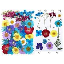 30/40Pcs 1 Set Dried Pressed Leaves Dried Flowers For Resin Real Assorted Dried Greenery For Pressed Leaf Art Craft DIY Handmade Bookmarks Embellishment Decorations